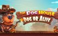 trik bermain slot di game The Dog House – Dog or Alive