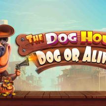 trik bermain slot di game The Dog House – Dog or Alive